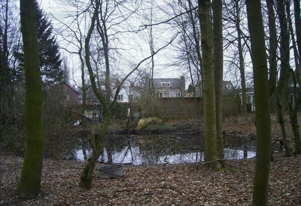 De vijver in de tuin van Markt 15. Foto Winfried Thijssen (2016-03).