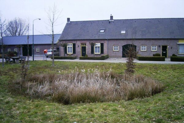 Drenkkuil op Schadewijk. Foto Winfried Thijssen (2016-03).