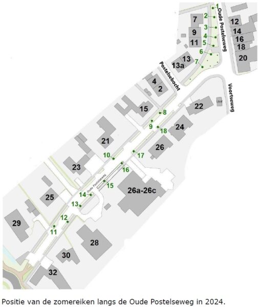 Positie van de zomereiken langs de Oude Postelseweg in 2024.